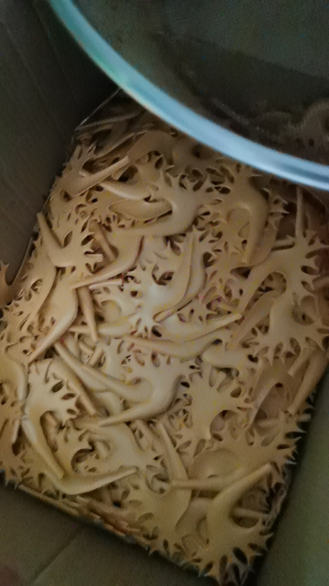 Produktion anatomischer Komponenten